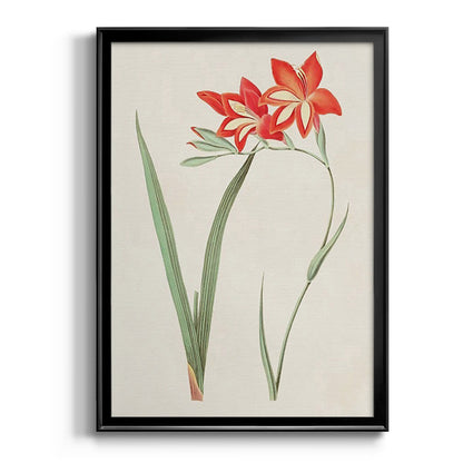 Flowers of the Seasons IV - Modern Framed Canvas Print