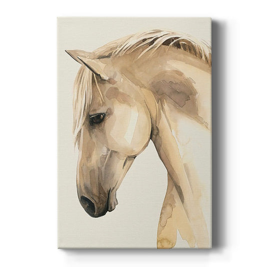 Golden Palomino II - Canvas Art Print