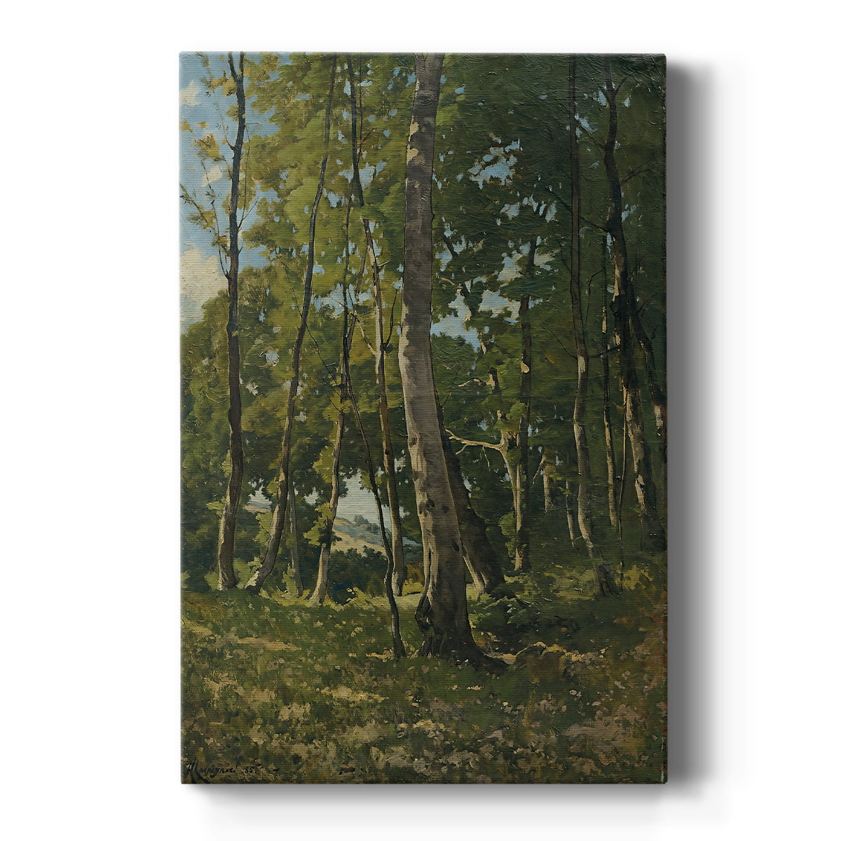 Canvas art print featuring a realistic landscape of a forest entrance with tall trees and soft light on a clean white background.