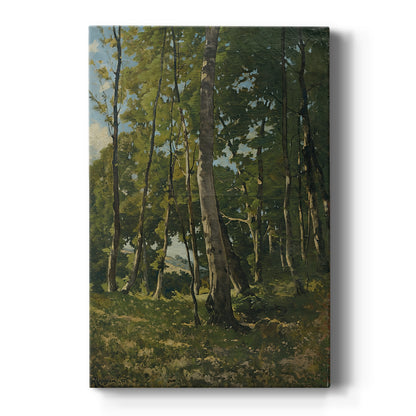 Canvas art print featuring a realistic landscape of a forest entrance with tall trees and soft light on a clean white background.