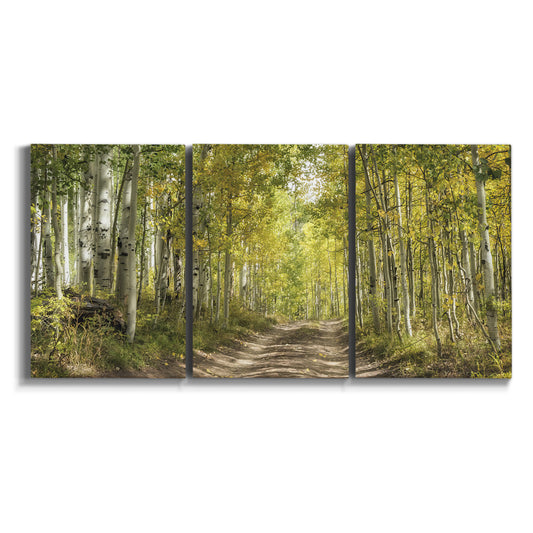 Three-panel canvas wall art featuring tree lined forest road photograph on white background.