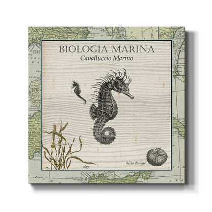Biologia Marina III - Canvas Art Print