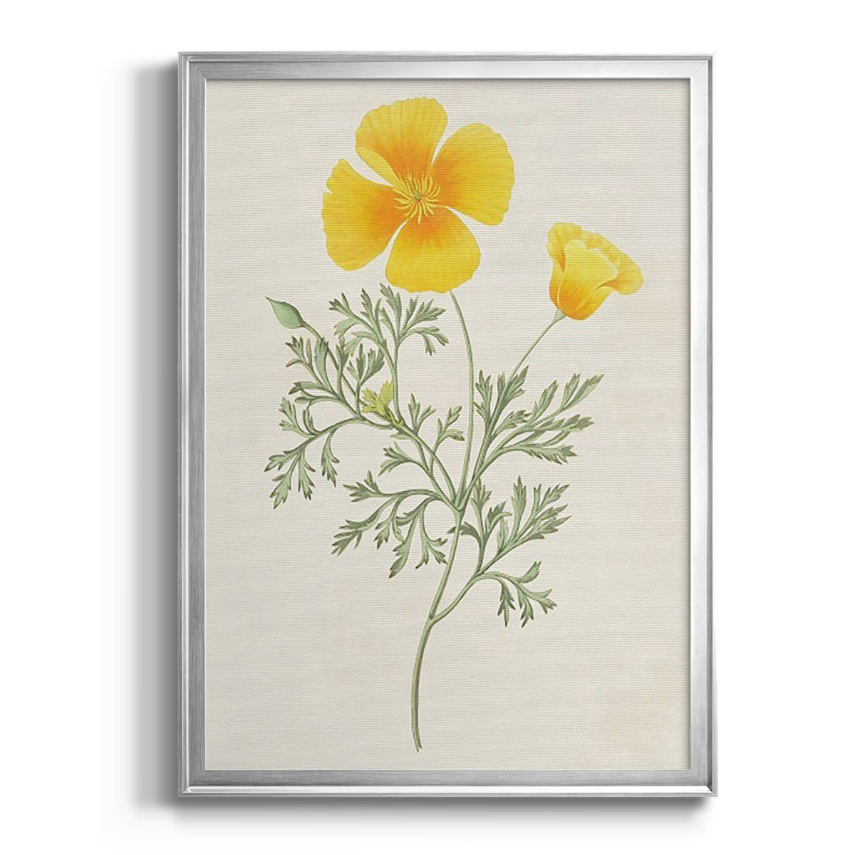 Flowers of the Seasons IX - Modern Framed Canvas Print