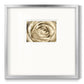 Neutral Wall Flower IV - Double Matboard Framed Print