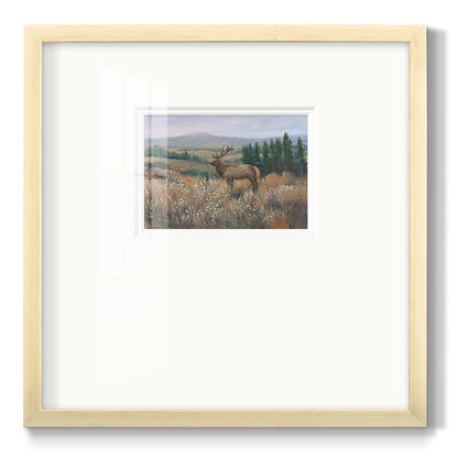 Western Wildlife II - Double Matboard Framed Print