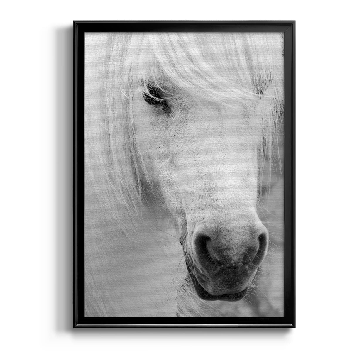 Island Pony I - Modern Framed Canvas Print