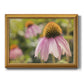 Echinacea Study I Premium Framed Canvas- Ready to Hang