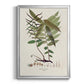 Botanical Society Ferns VI - Modern Framed Canvas Print