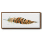 Tail Feather I - Floater Framed Canvas Print