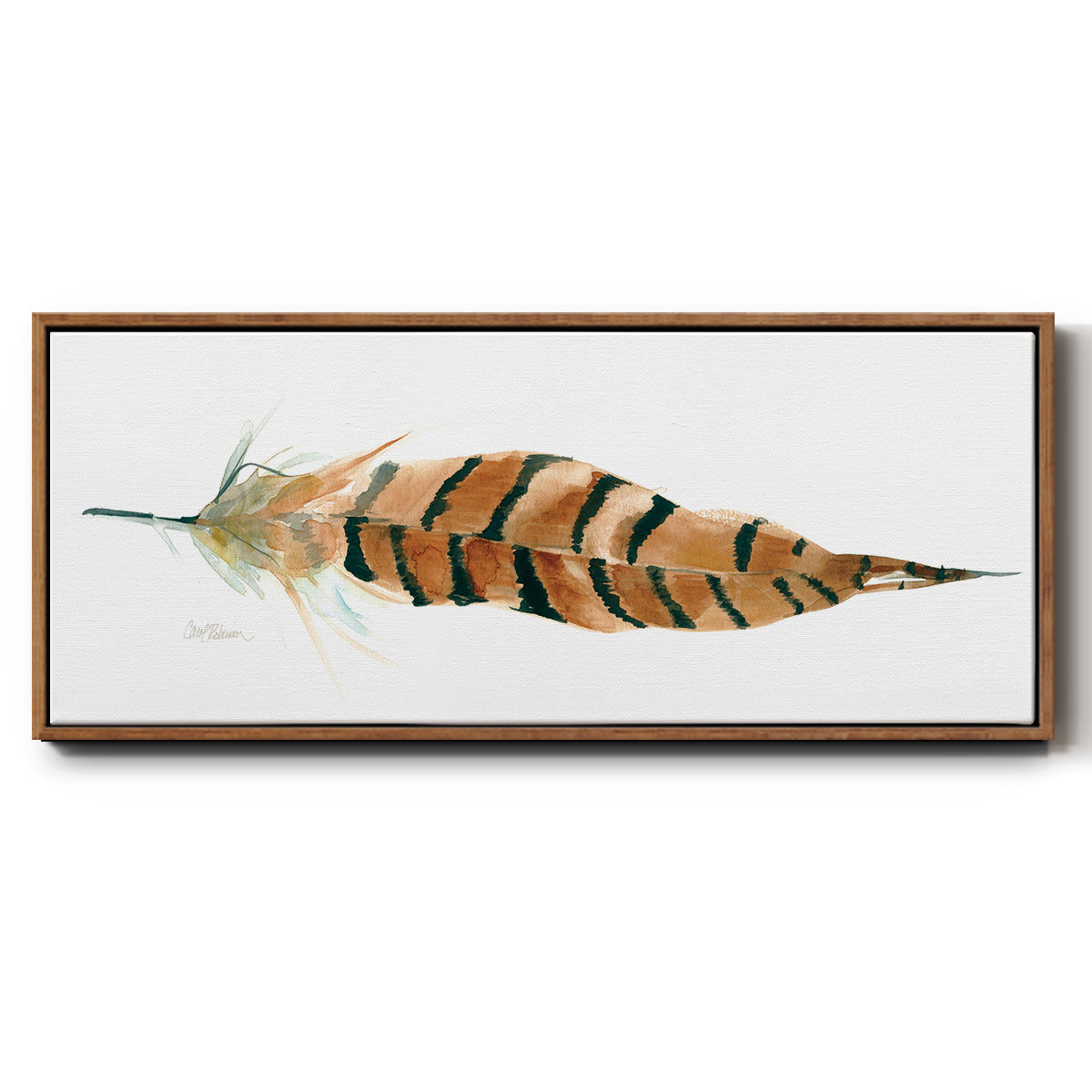 Tail Feather I - Floater Framed Canvas Print