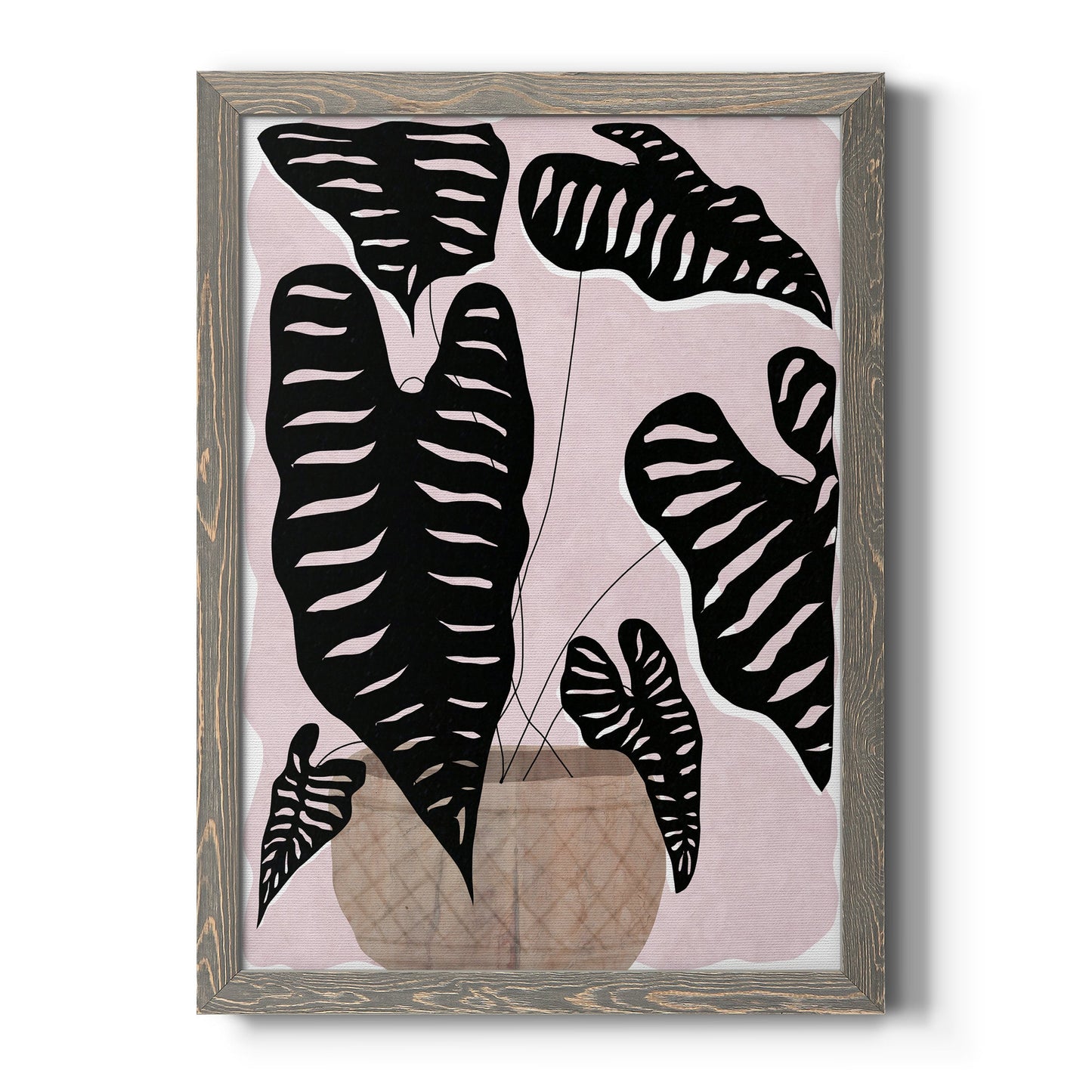 Potted Plant II - Barnwood Framed Canvas Print