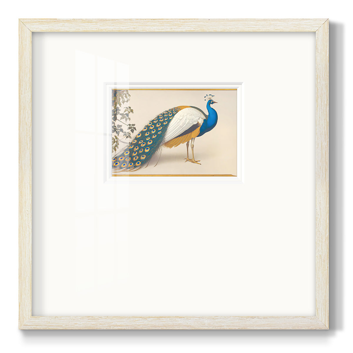 Golden Peacock III Premium Framed Print Double Matboard