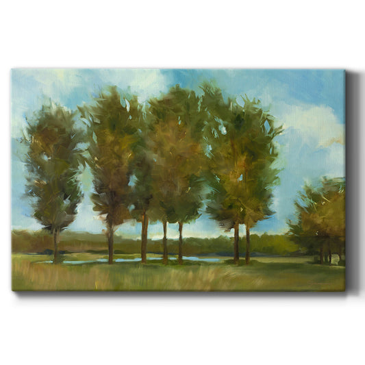 Tall Trees - Canvas Art Print