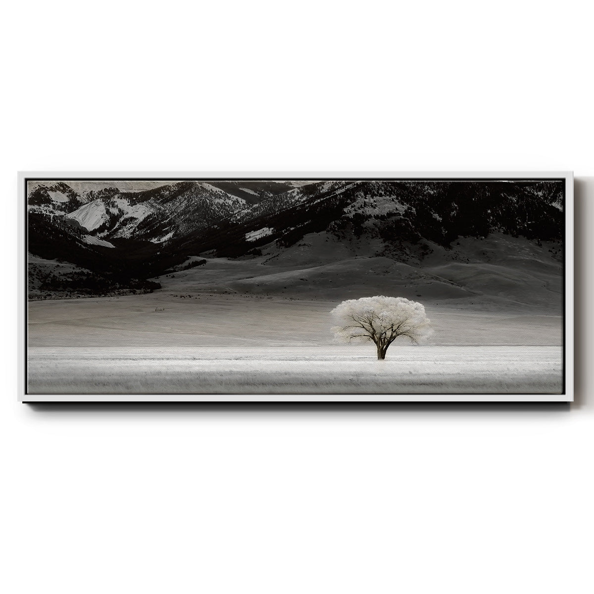 Solitary Tree - Floater Framed Canvas Print