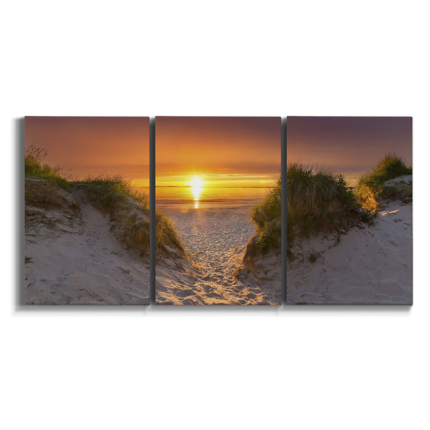 Three-panel canvas wall art featuring sunlit tropical path through greenery on white background.
