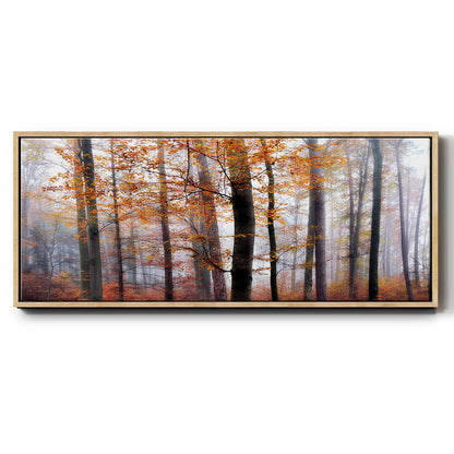 Lost in the Forest - Floater Framed Canvas Print