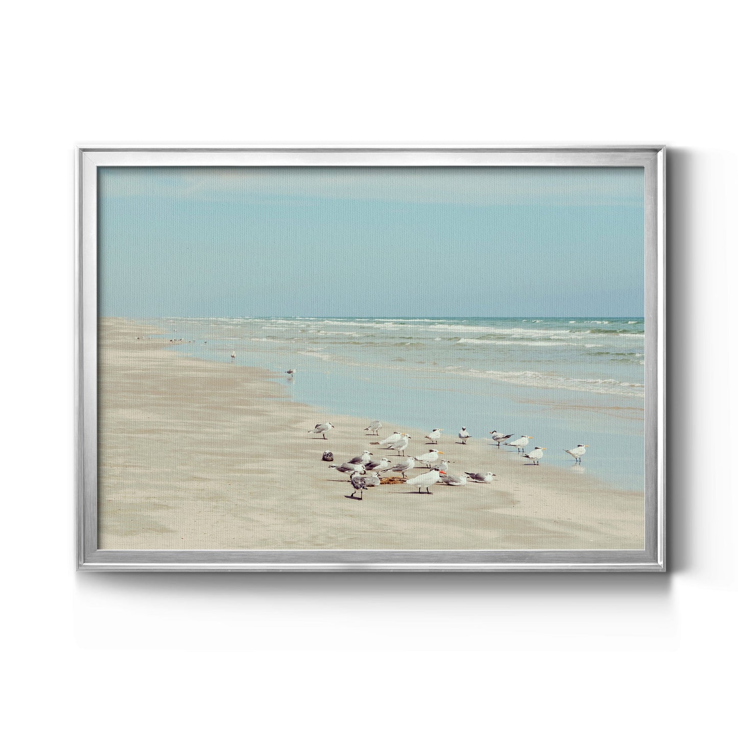 Padre Island Shore Birds Premium Classic Framed Canvas - Ready to Hang