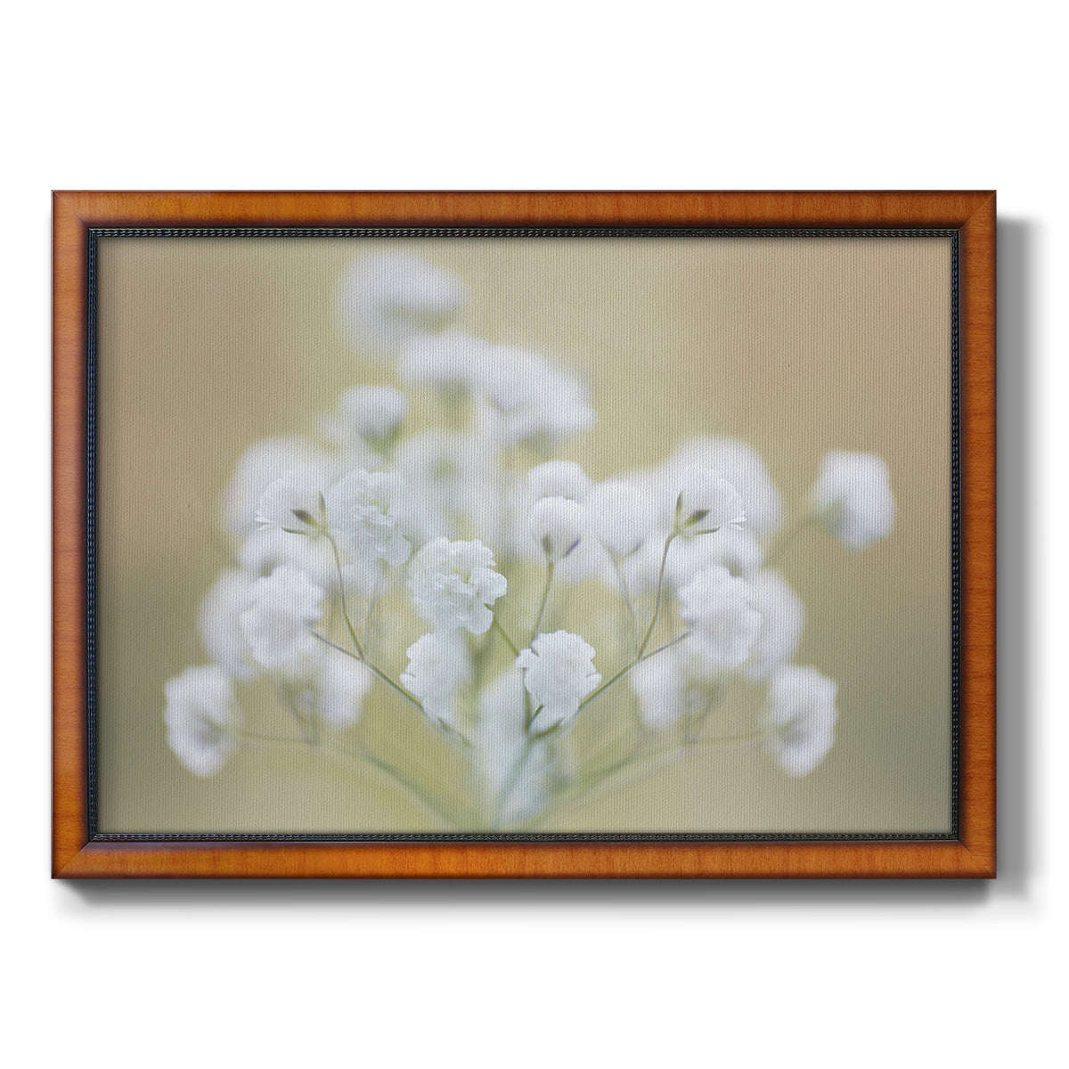 Baby's Breath Study I Premium Framed Canvas- Ready to Hang