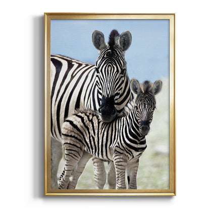 Family of Namibia - Modern Framed Canvas Print