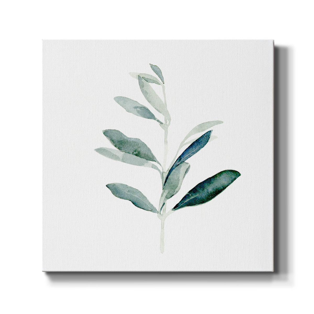 Summer Olive Branch I - Canvas Art Print