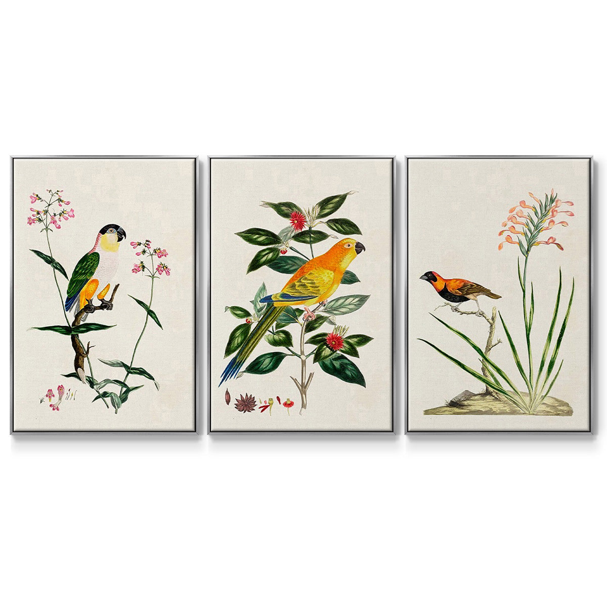 Bird in Habitat III - Floater Framed Canvas Set