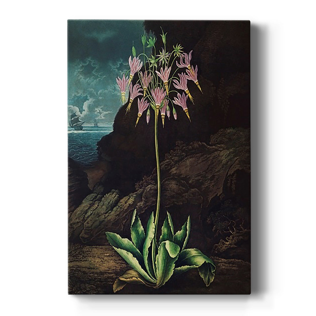 Temple of Flora II - Canvas Art Print