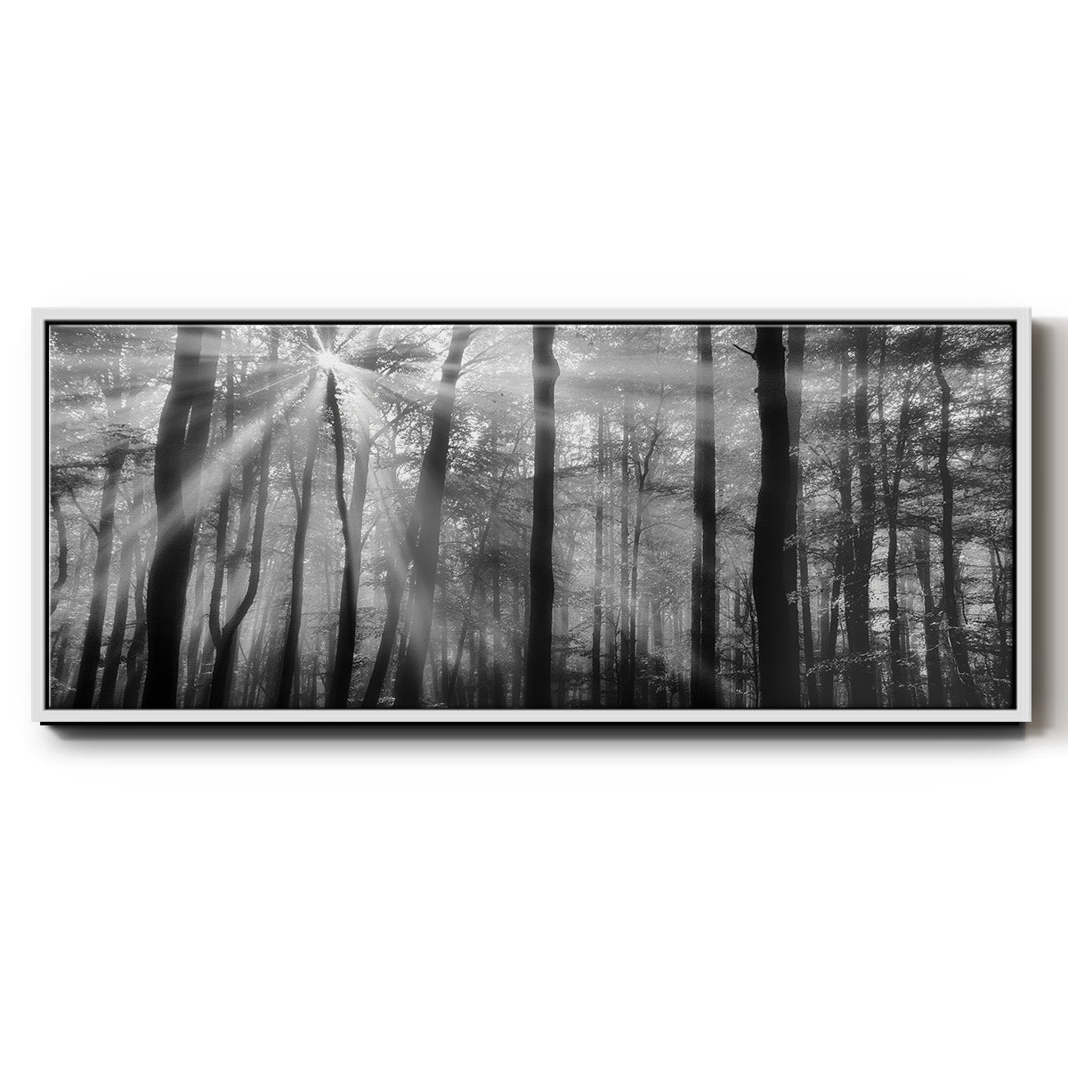 Breaking Through - Floater Framed Canvas Print