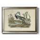 Audubons Louisiana Heron Premium Framed Canvas- Ready to Hang