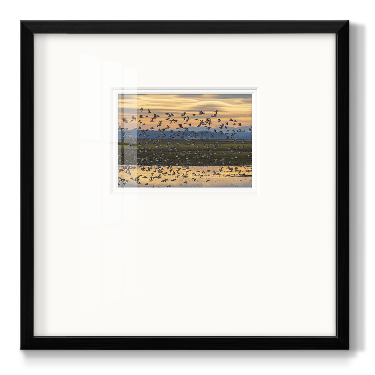 Sunset Flight Premium Framed Print Double Matboard