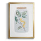 Nature Jar I - Modern Framed Canvas Print