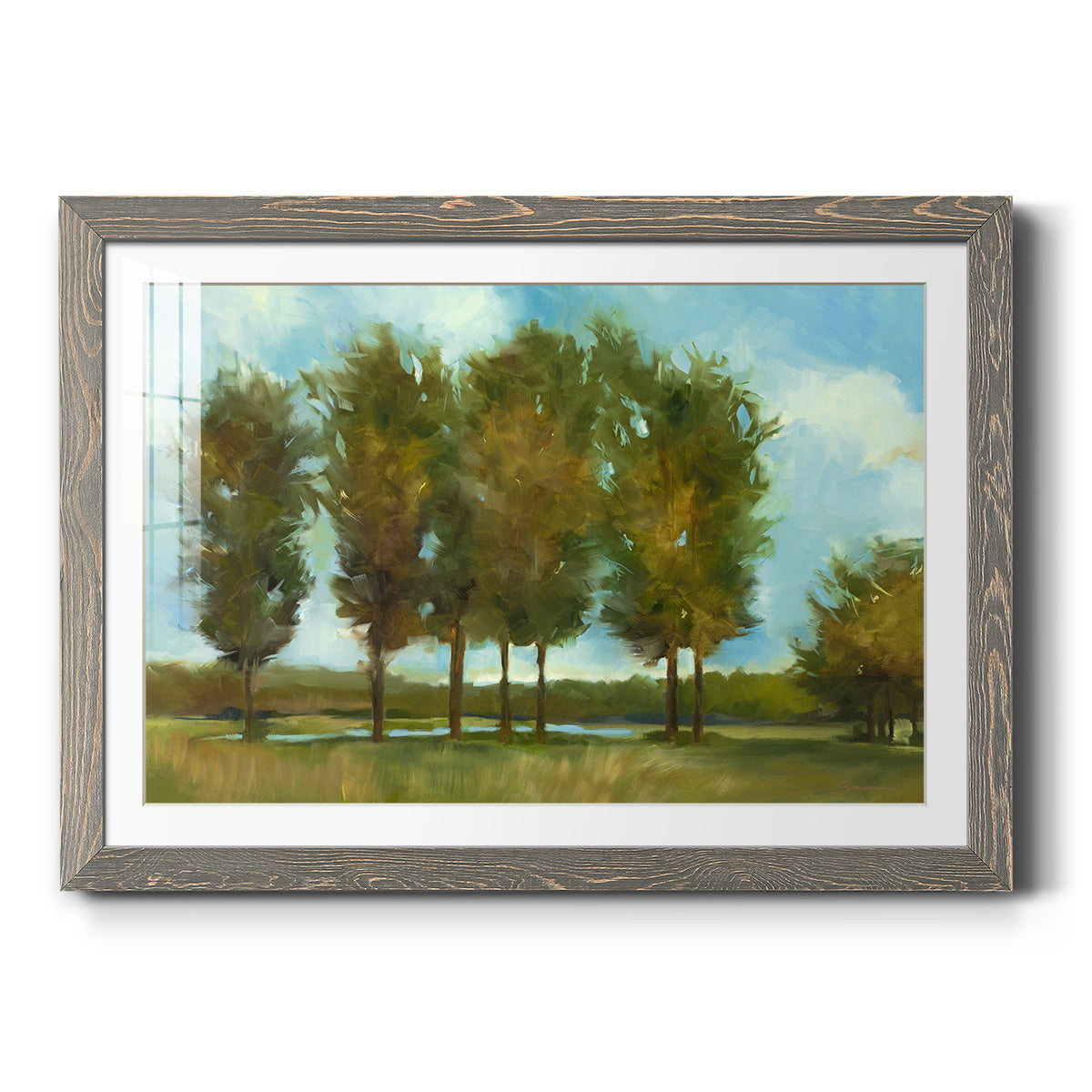 Tall Trees - Barnwood Framed Art Print