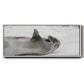 Laughing Seal - Floater Framed Canvas Print