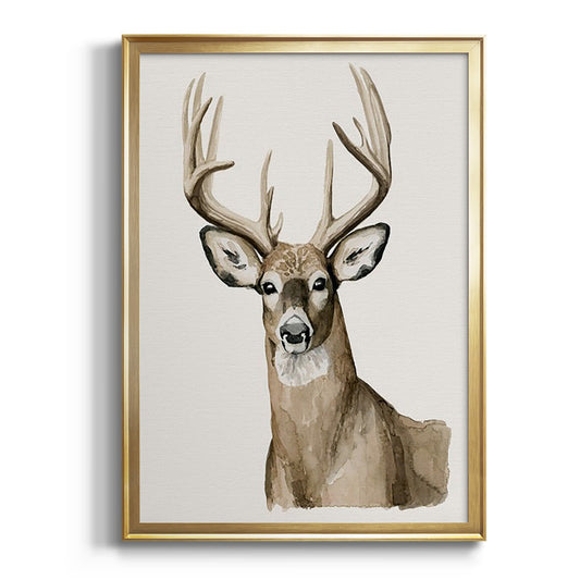 Handsome Whitetail I - Modern Framed Canvas Print