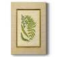 Fern with Crackle Mat (H) II - Canvas Art Print