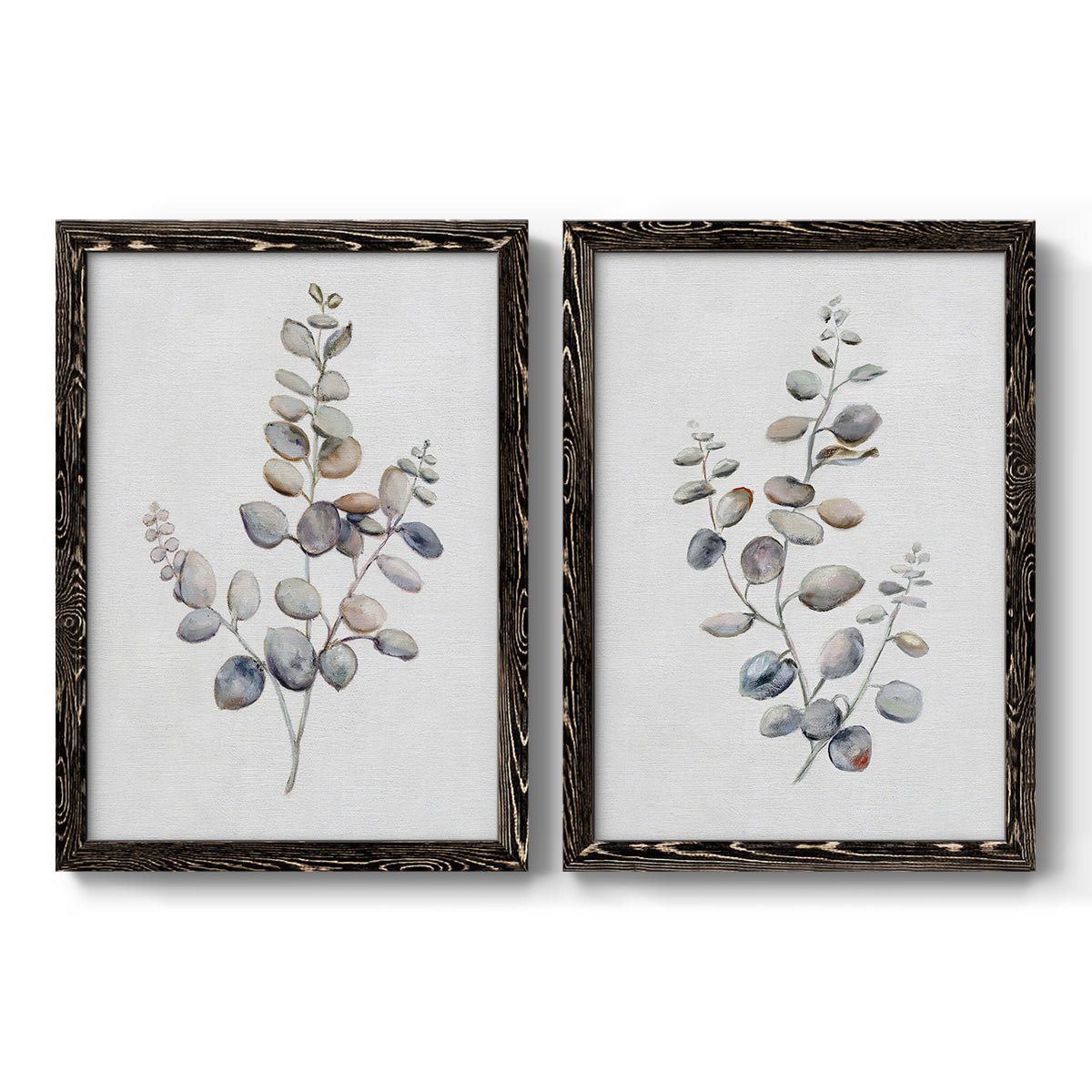 Eucalyptus I - Premium Framed Canvas 2 Piece Set - Ready to Hang