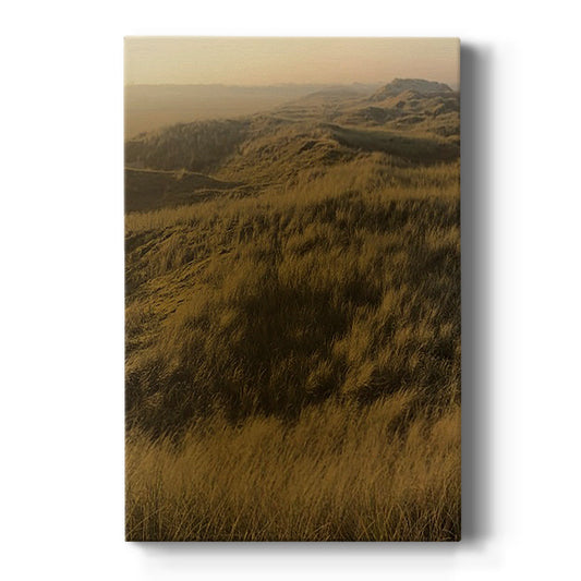 Golden Fog I - Canvas Art Print