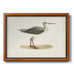 Morris Sandpipers I Premium Framed Canvas- Ready to Hang