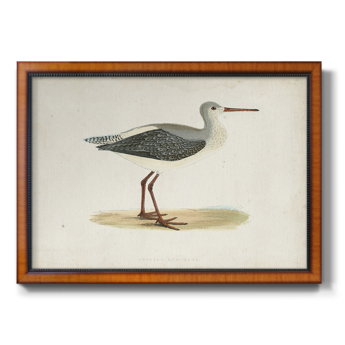 Morris Sandpipers I Premium Framed Canvas- Ready to Hang