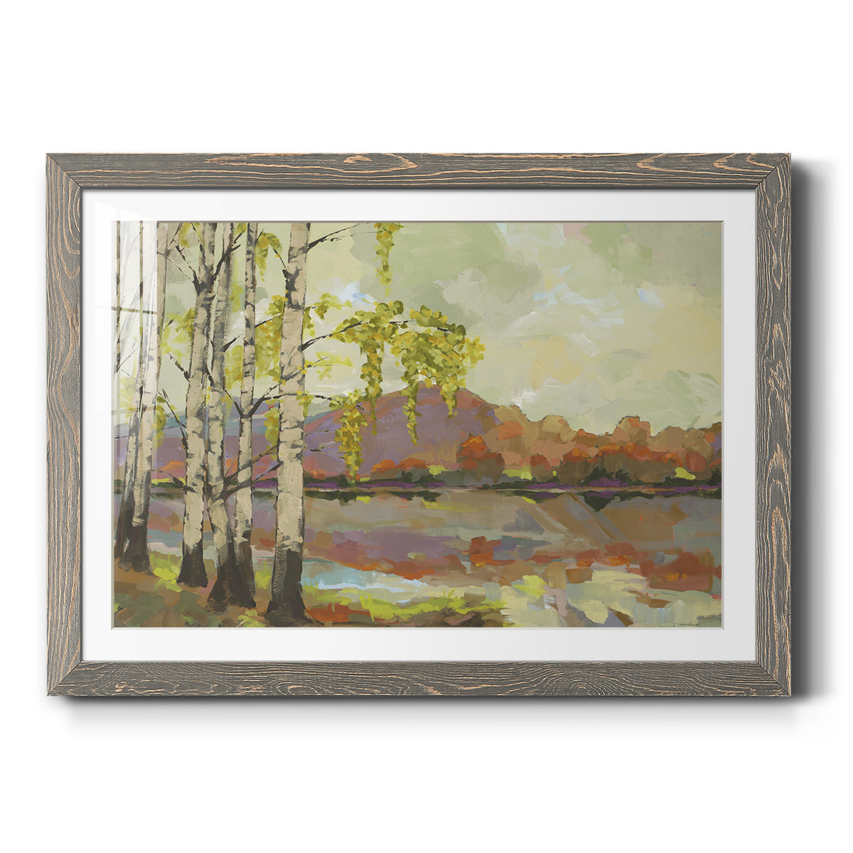 Birch Stand - Barnwood Framed Art Print
