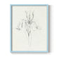 Neutral Iris Sketch I - Restickable Framed Art Print