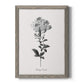 Simply Cape Leadwort - Premium Canvas Framed in Barnwood - Ready to Hang