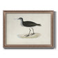 Morris Sandpipers VIII Premium Framed Canvas- Ready to Hang