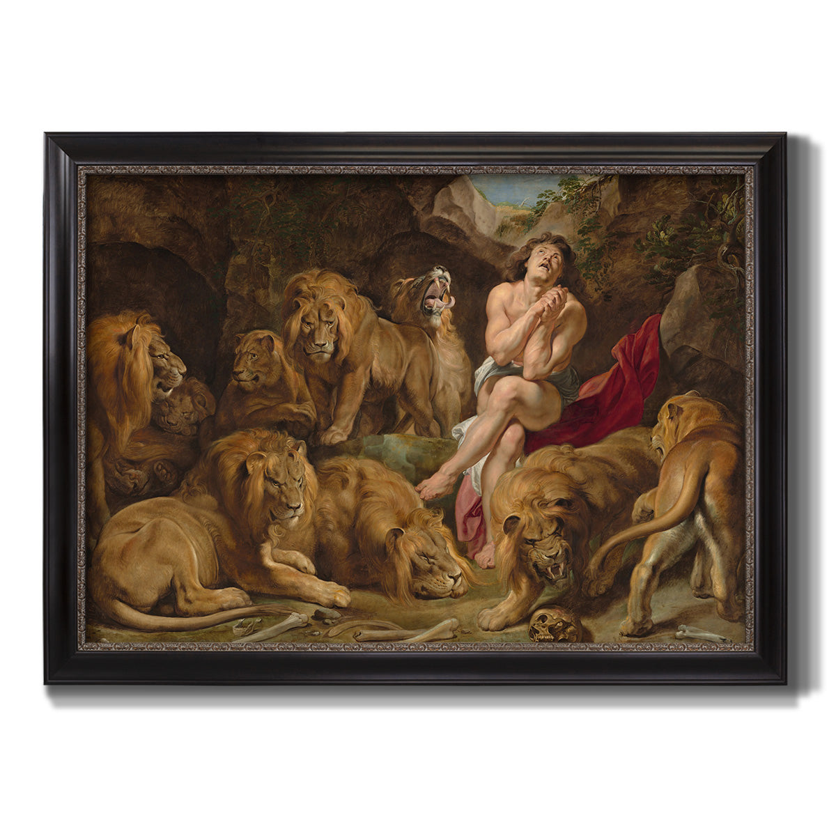 Dramatic biblical painting of Daniel with lions by Peter Paul Rubens printed on canvas in an ornate black frame with gilded inner detail.