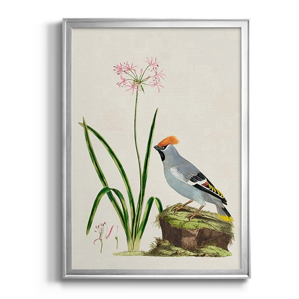 Bird in Habitat II - Modern Framed Canvas Print