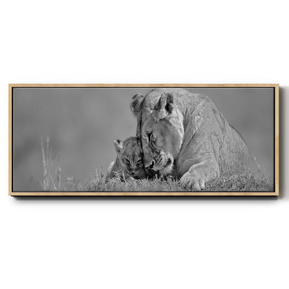Lioness Love - Floater Framed Canvas Print