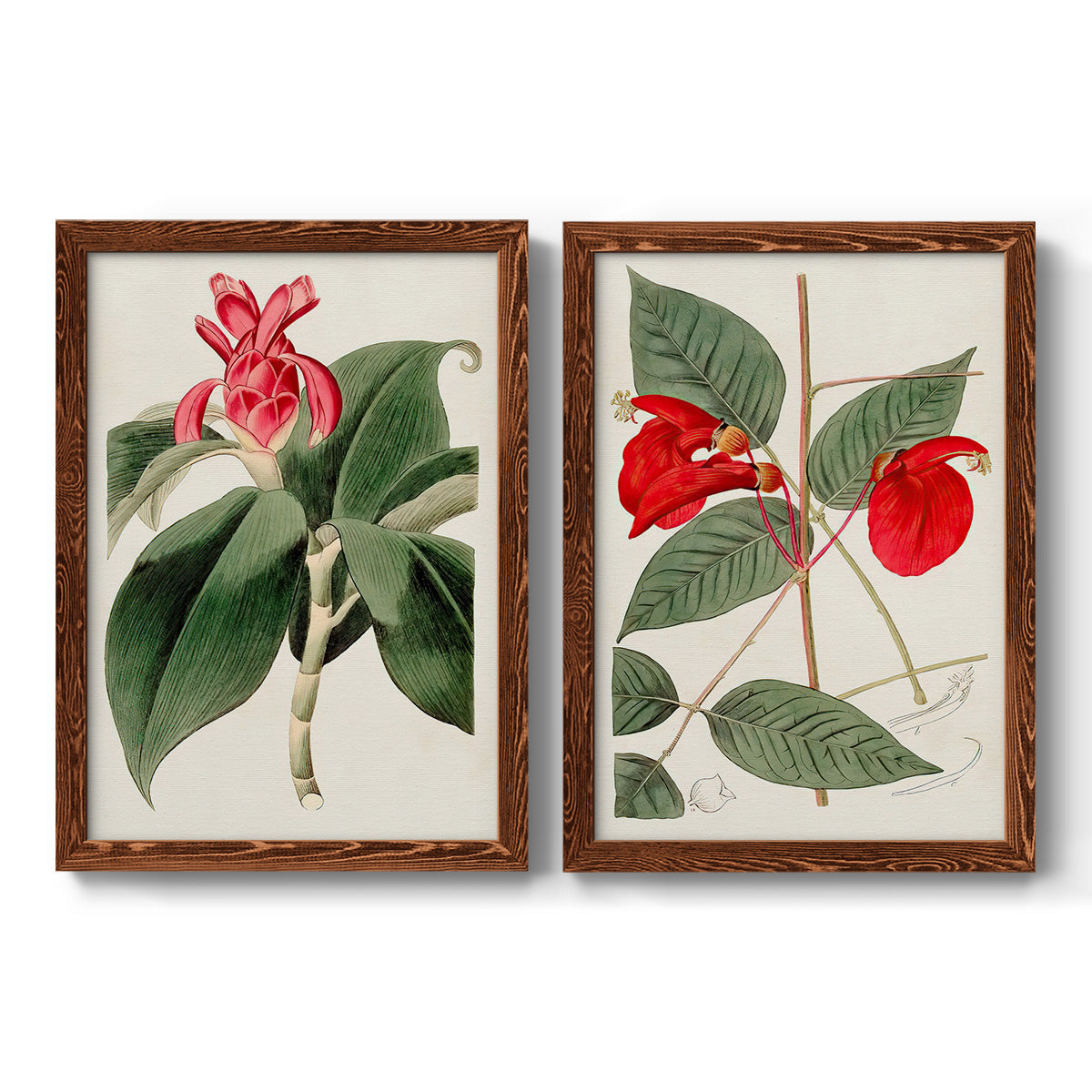 Flora of the Tropics I - Premium Framed Canvas 2 Piece Set - Ready to Hang