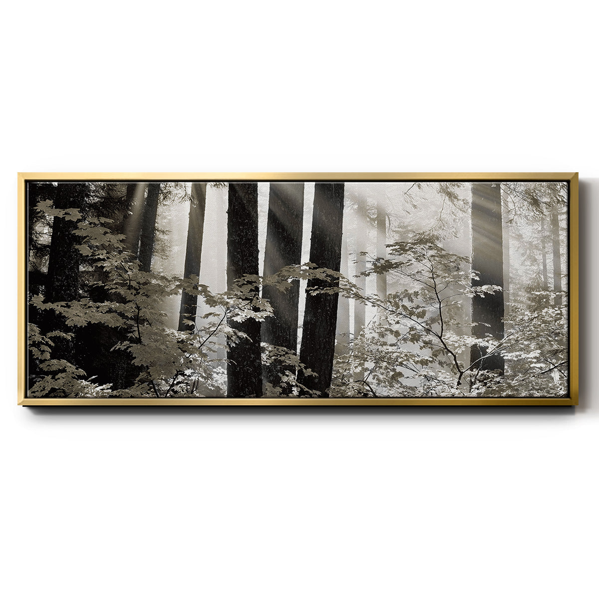 Misty Forest - Floater Framed Canvas Print