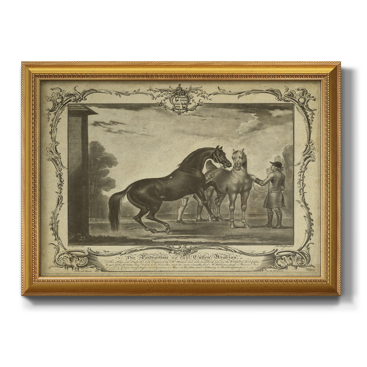 Distinguished Horses III Premium Framed Canvas- Ready to Hang