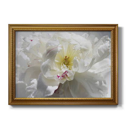 Breathless III Premium Framed Canvas- Ready to Hang