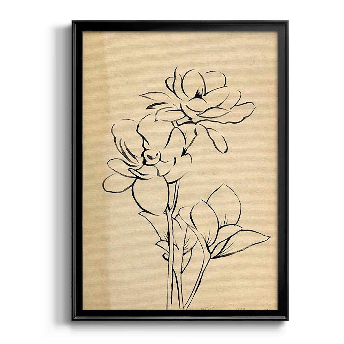Magnolia Sketch II - Modern Framed Canvas Print